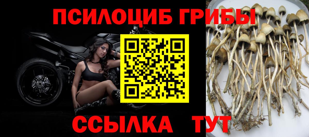 Галлюциногенные грибы GOLDEN TEACHER  Вход с VPN  Петрозаводск 