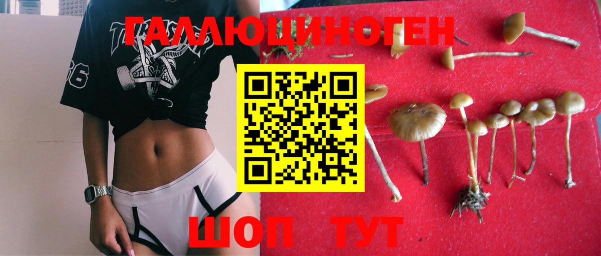 МЕТАМФЕТАМИН  Конопля  Лсд 25  Cocaine  Мефедрон   ГАШ  Вход с VPN  Цена  A PVP СК кристаллы  Петрозаводск  Меф МЯУ МЯУ 